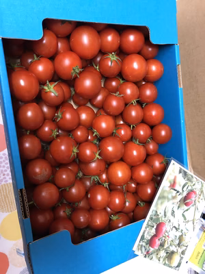 みんなの投稿の画像