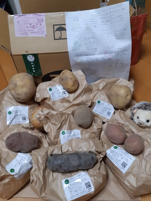 みんなの投稿の画像