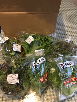 みんなの投稿の画像