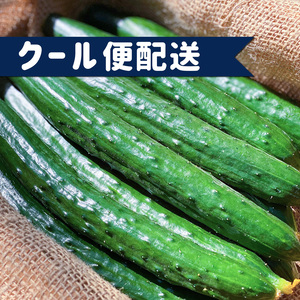 切るだけ簡単 デコきゅうり 星型 ハート型 農家漁師から産地直送の通販 ポケットマルシェ