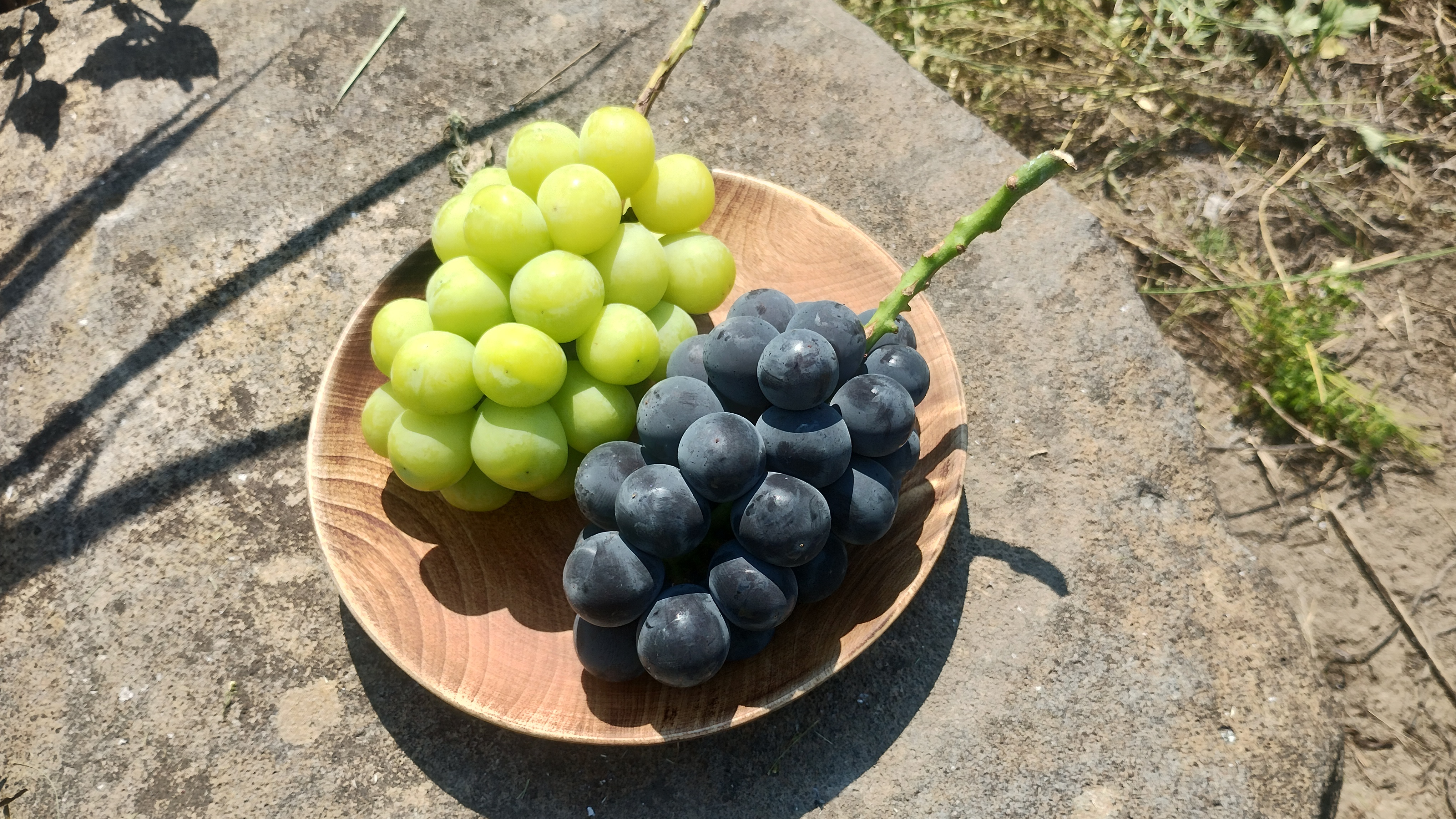 旬ぶどう シャインマスカット 巨峰 詰め合わせ 秀品800g(2〜3房) 800g(2-3房)