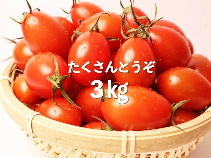 朝摘みトマト♢シシリアンルージュ3Kg | www.darquer.fr