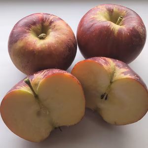 りんご　秋映　(あきばえ)　小玉/訳あり　家庭用 