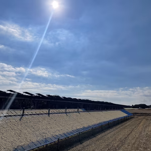 12月より新物発送⭐︎太陽の恵み！至福の極甘⭐︎切り干し大根