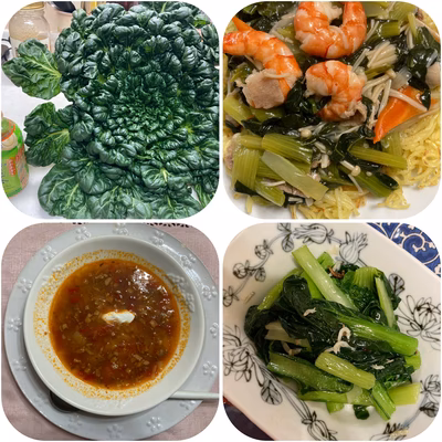 みんなの投稿の画像