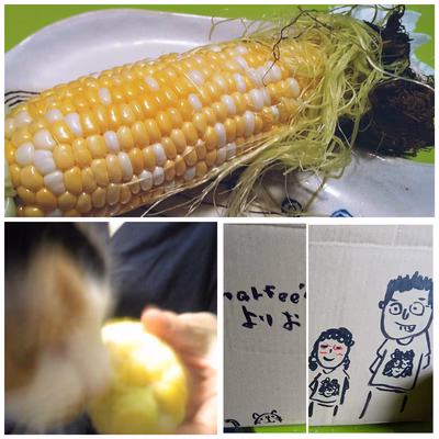 みんなの投稿の画像