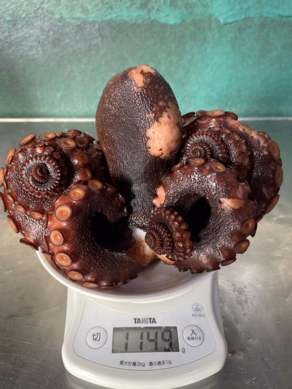 ゲリラ出品！訳あり稀少特大タコ　1.14kg 秘伝の茹で汁で茹でた浜茹で地だこ