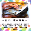 〜五島列島〜鮮魚セット