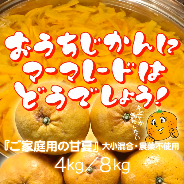 マーマレードに！ご家庭用の甘夏【農薬不使用】