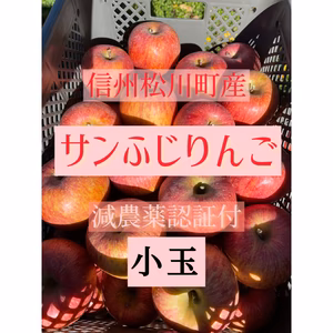 信州松川町産　小玉サンふじりんご