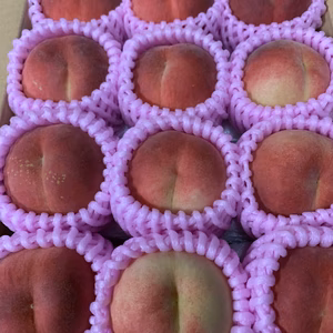 【訳あり品】『川中島白桃』２Kg箱入り　１１個から１２個入