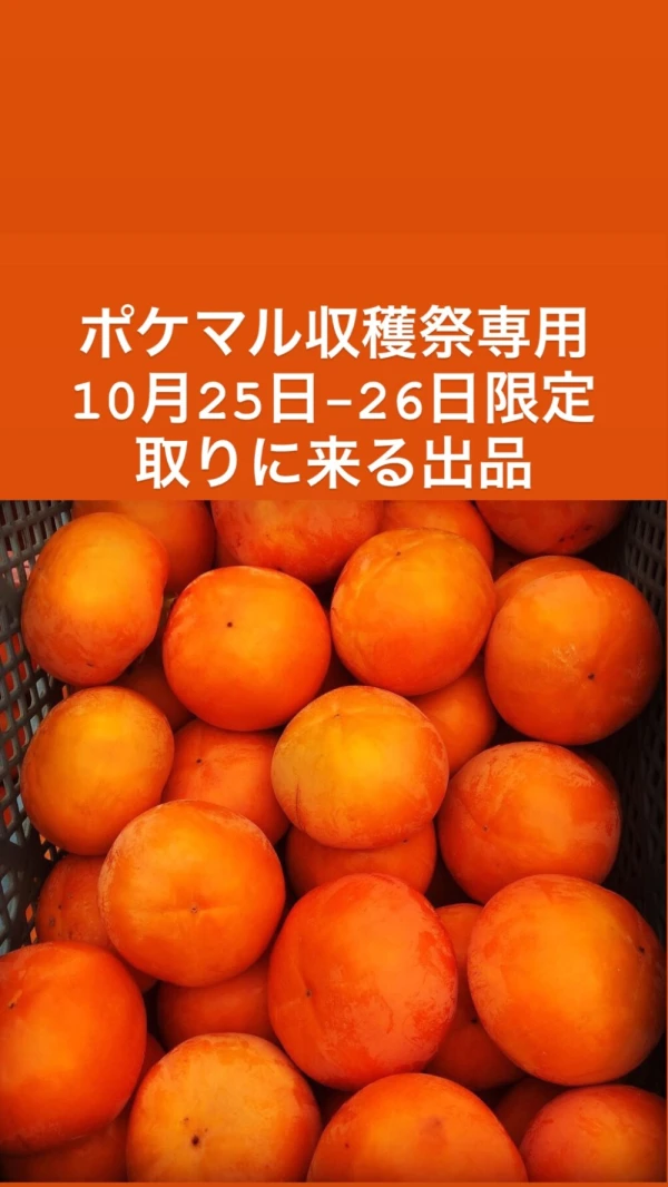10月25日-26 取りに来る出品専用 福岡県 早生ふゆ柿1玉200gUP