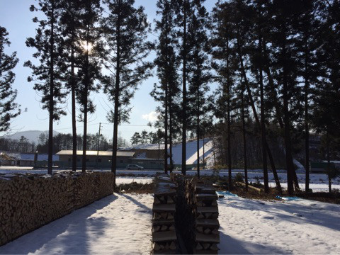 o0480036013842585174