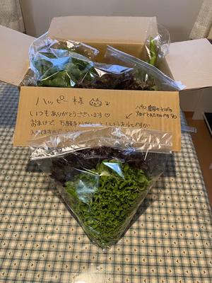 みんなの投稿の画像