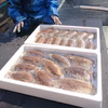 関門海峡産★甲いか♫2kg箱に【限定10セット】