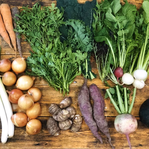 Mサイズ　旬彩野菜セット8-9品目　《化学肥料・農薬不使用》