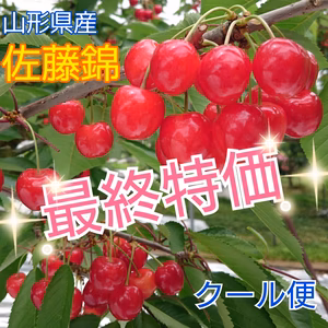 最終特価★佐藤錦 山形県のさくらんぼ※クール便
