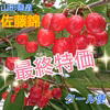 最終特価★佐藤錦 山形県のさくらんぼ※クール便