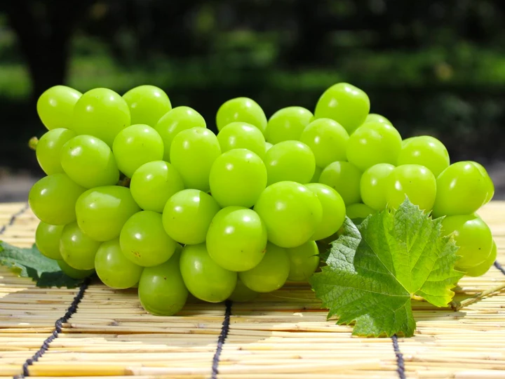 クール便】【山梨県産】シャインマスカット(種無し)【9月上旬から発送