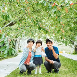 古田晋 | 果樹園木楽