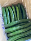【常温配送/中ランク混合】3kg or 5㎏ きゅうり社長の新鮮朝どれきゅうり