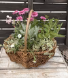 プレゼントに！季節の寄せ植え★バスケット寄せ籠Mサイズ幅30センチ程度