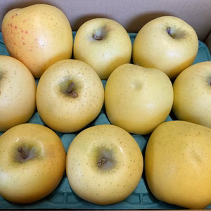 【訳あり】お買い得❗️パリッとジューシー、シナノゴールド❗️