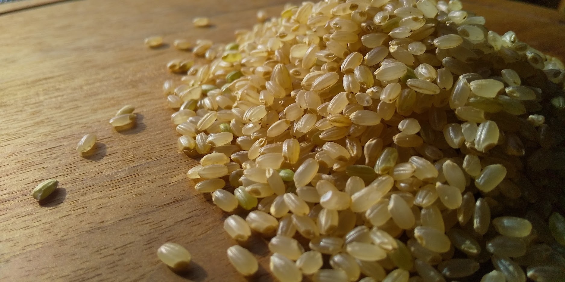 新米】無農薬無化学肥料栽培☆ひとめぼれ(玄米) 2023年産｜米・穀類の