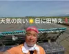 自然栽培 氷温熟成 でわのもち 令和４年産 山形県産 庄内米 玄米２５k