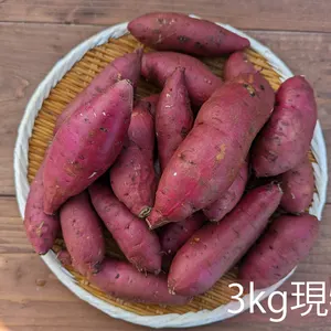 有機JAS☆野菜ソムリエサミット銀賞受賞【3kg】浮気できなくなるこの甘さ！