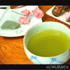 2021年新茶／狭山茶《ティーバッグ・上煎茶》3日以内に発送致します。