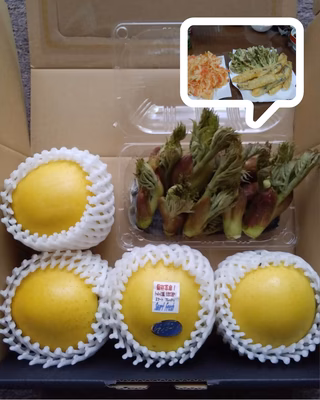 みんなの投稿の画像