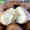 熟成で甘くなった！零熟じゃがいも　男爵（サイズ混在）