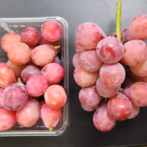 パック詰め★ 自家農園の クイーンニーナ 朝採り発送 パック詰め 1.6Kg