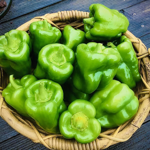 【無農薬】夏バテ・疲労回復におすすめのジャンボピーマン！