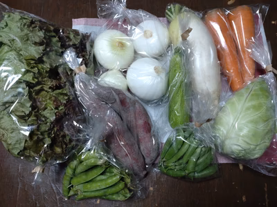 みんなの投稿の画像