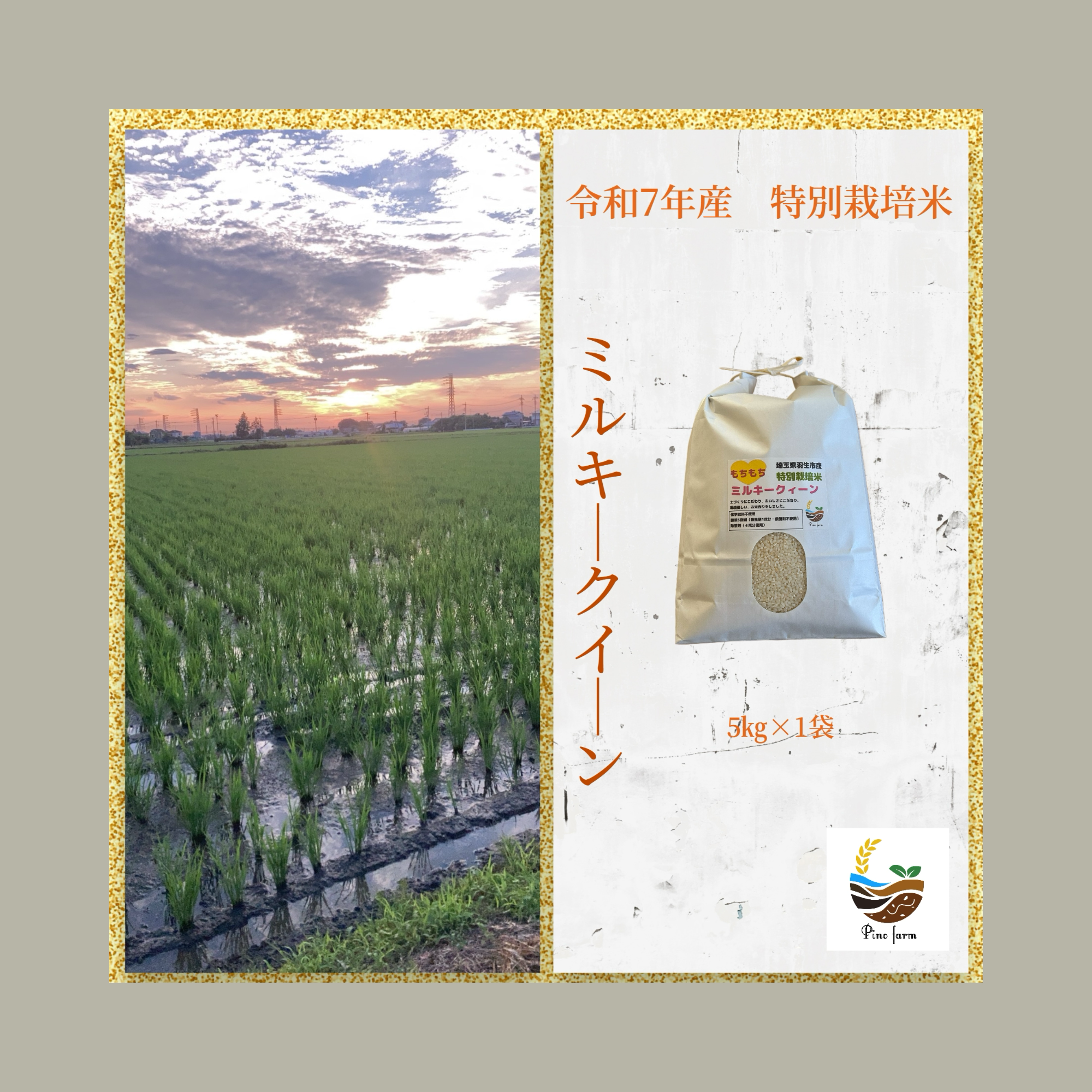 R7 ミルキークイーン 白米約27kg 先端農家のお米 【公式通販】