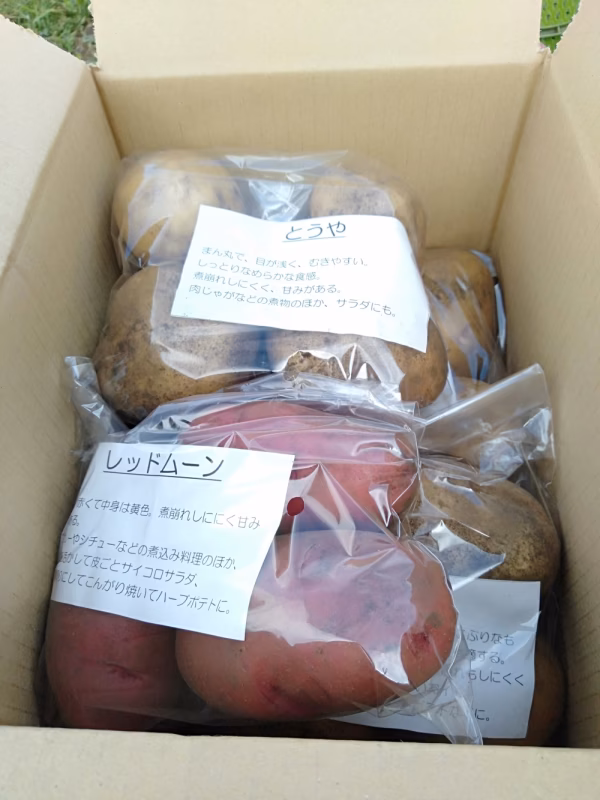 【農薬・化学肥料不使用】ジャガイモ5種詰め合わせセット