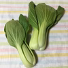 【山都町直送！！】野菜セット　Mサイズ