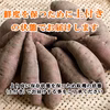 新芋 鹿児島県産さつま芋(紅はるか)ねっとり系　土付きMサイズ10Kg