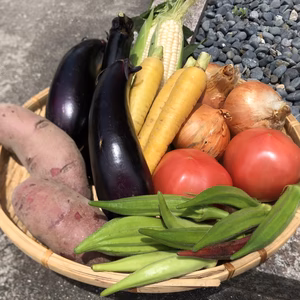 第4段♡カラフル野菜♡お試しBOX