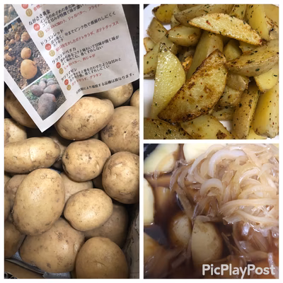 みんなの投稿の画像