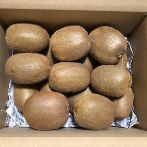 山梨県産キウイフルーツ（ヘイワード）大玉1玉105g〜