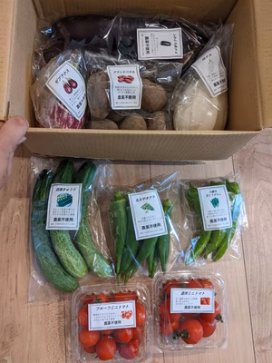 みんなの投稿の画像