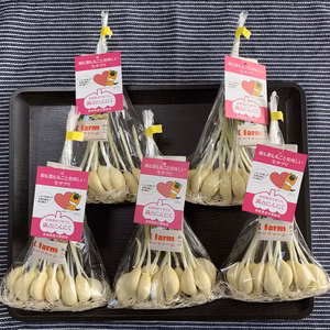 お得な群馬県産満点にんにく（発芽にんにく）冷蔵便50本＋訳あり品5本