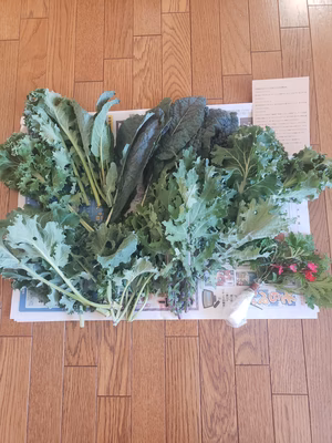 みんなの投稿の画像