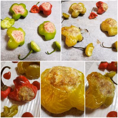 みんなの投稿の画像