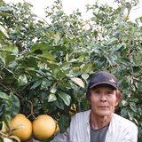 外山輝司