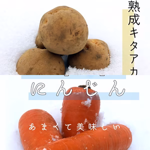【お試し】熟成ジャガイモ「キタアカリ」 (約3kg)と雪下にんじん（約1kg）