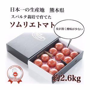 【父の日】【極み】受賞歴３回！ソムリエトマト